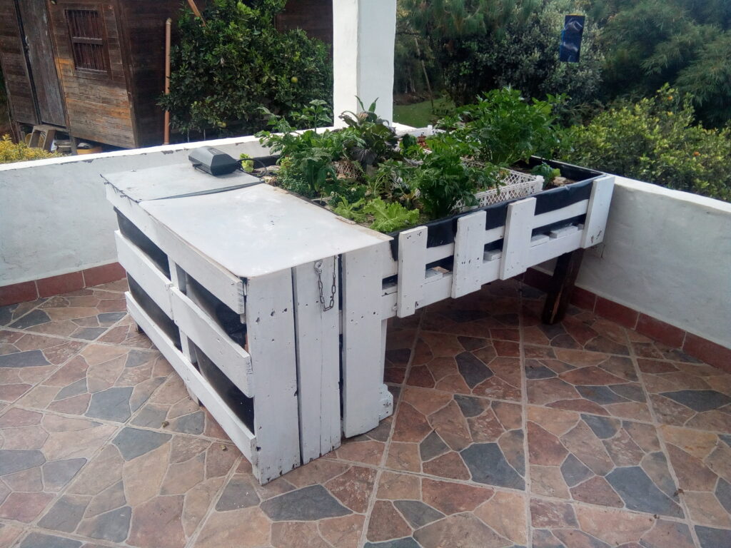 Sistema de acuaponía casera compacto hecho con estibas pintadas de blanco y geomembrana, con tanque de peces tapado y cama de plantas